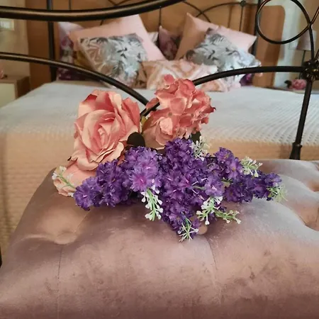 公寓 Il Vicoletto *