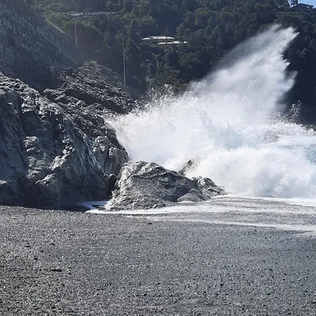 Il Vicoletto 斯培西亚