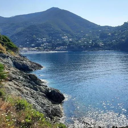 公寓 Il Vicoletto 斯培西亚